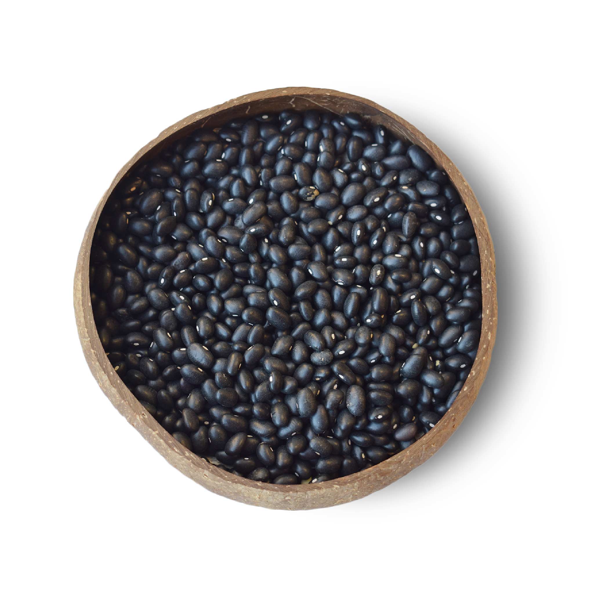 Black Turtle Beans