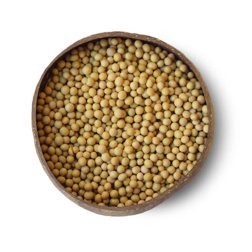 Soya Beans (Org)