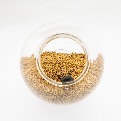 Coriander (Seed) (per 30g)